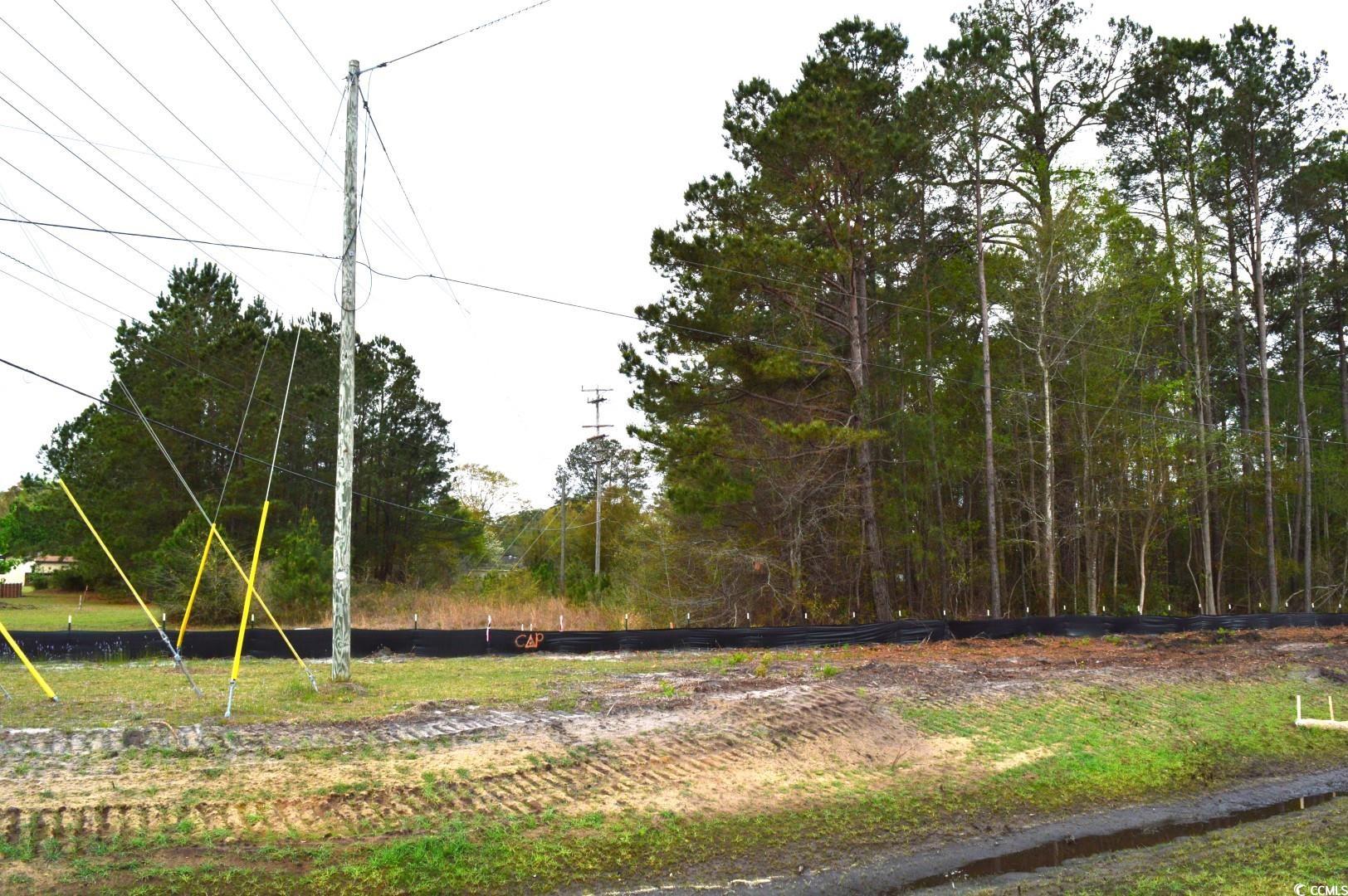 Lot 1&2 Highway 501 E Property Photo 8