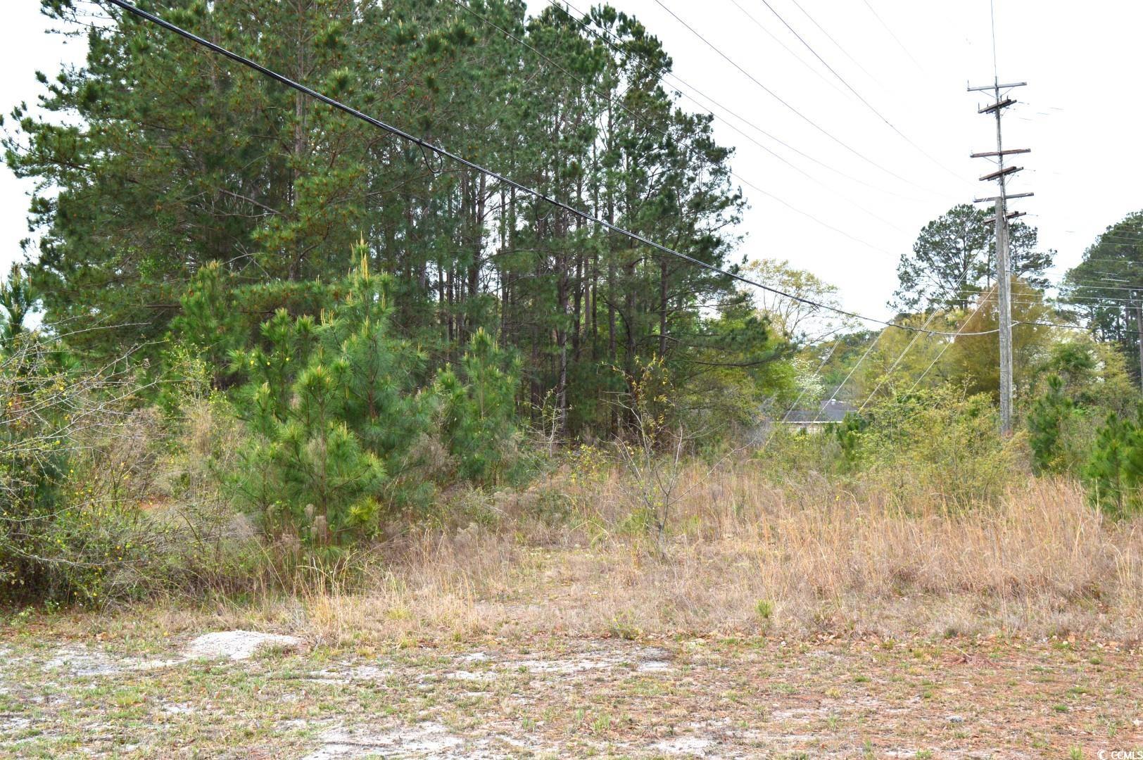 Lot 1&2 Highway 501 E Property Photo 9