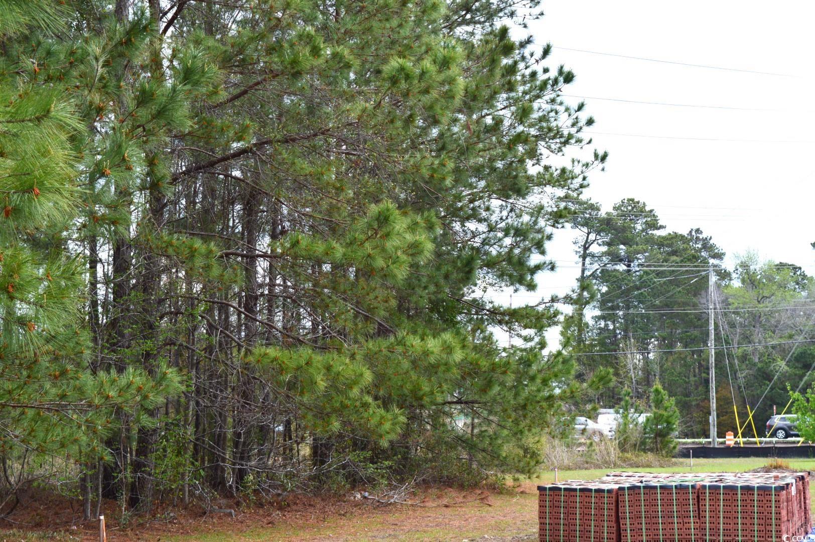 Lot 1&2 Highway 501 E Property Photo 10