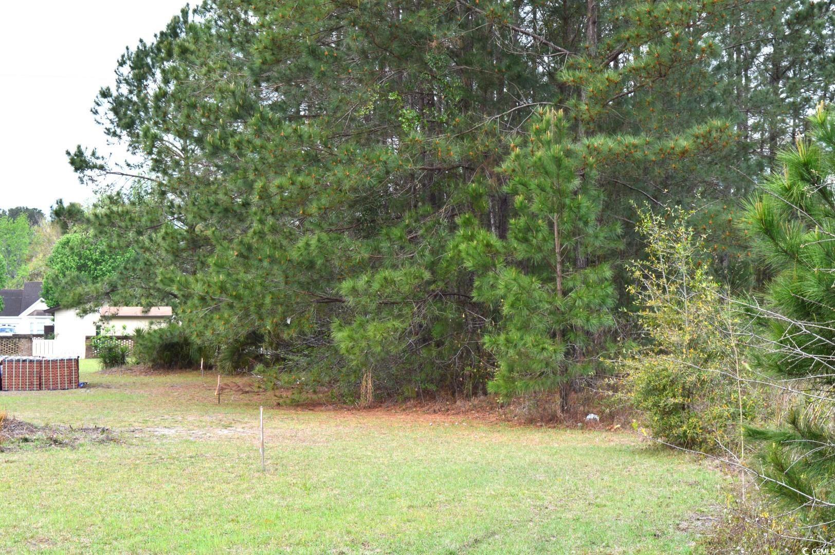 Lot 1&2 Highway 501 E Property Photo 11