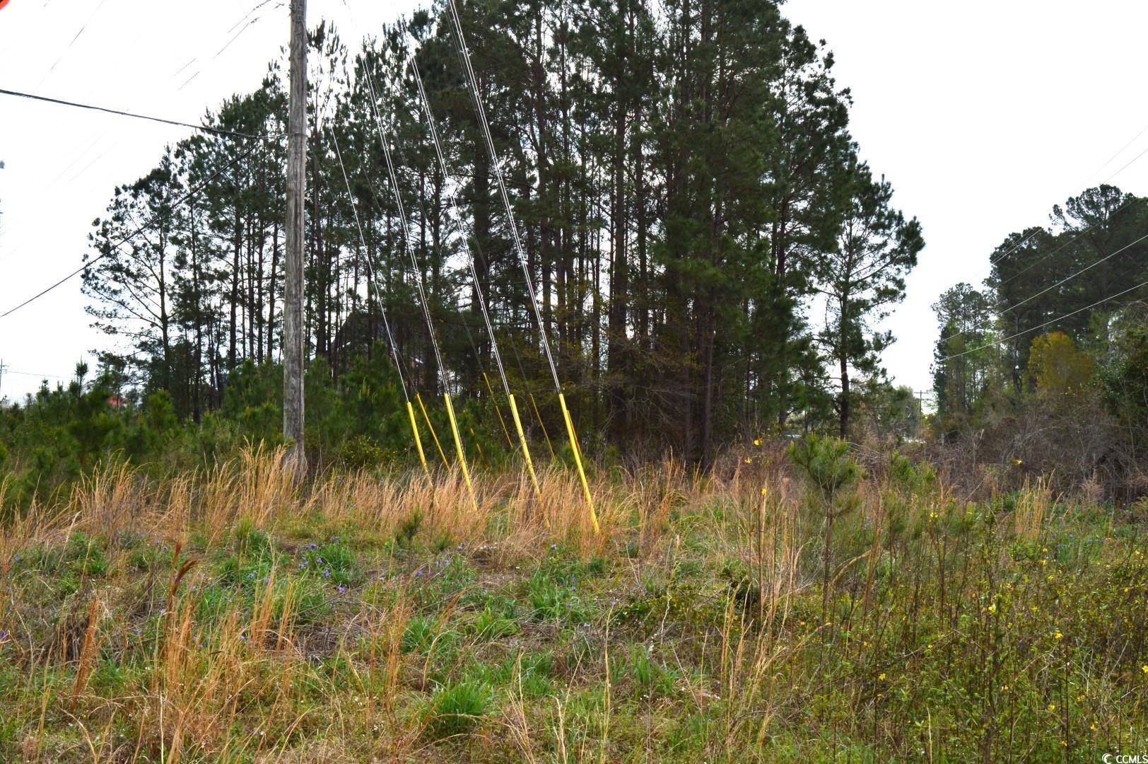 Lot 1&2 Highway 501 E Property Photo 13