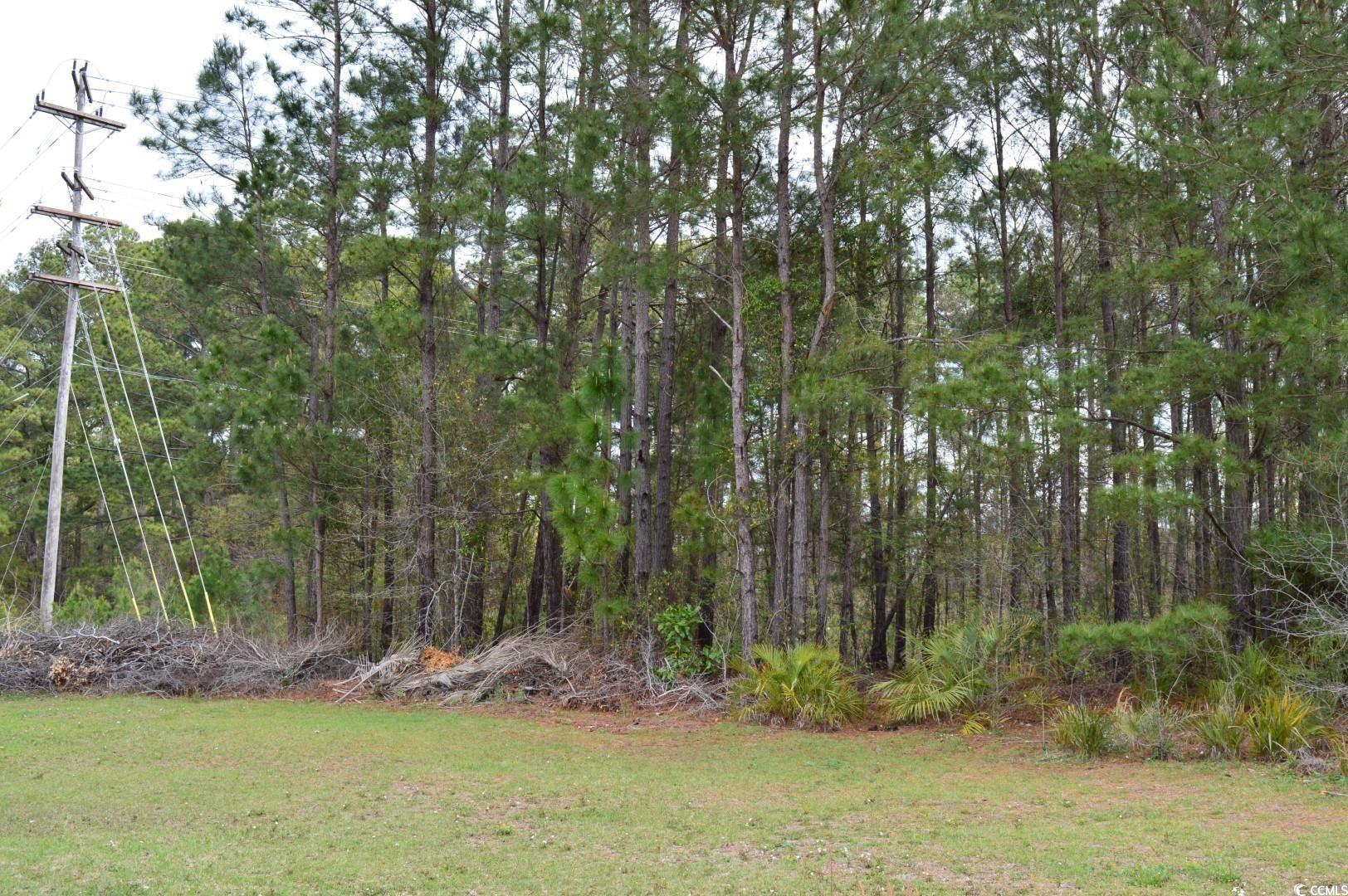 Lot 1&2 Highway 501 E Property Photo 14