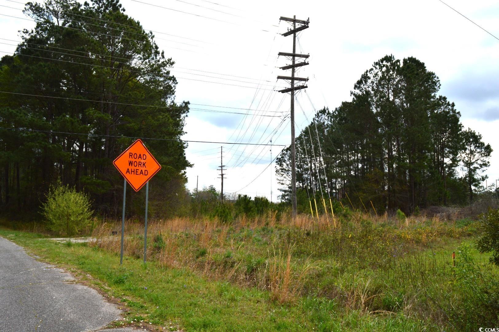 Lot 1&2 Highway 501 E Property Photo 15