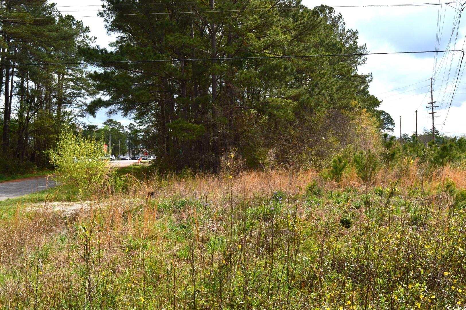 Lot 1&2 Highway 501 E Property Photo 16