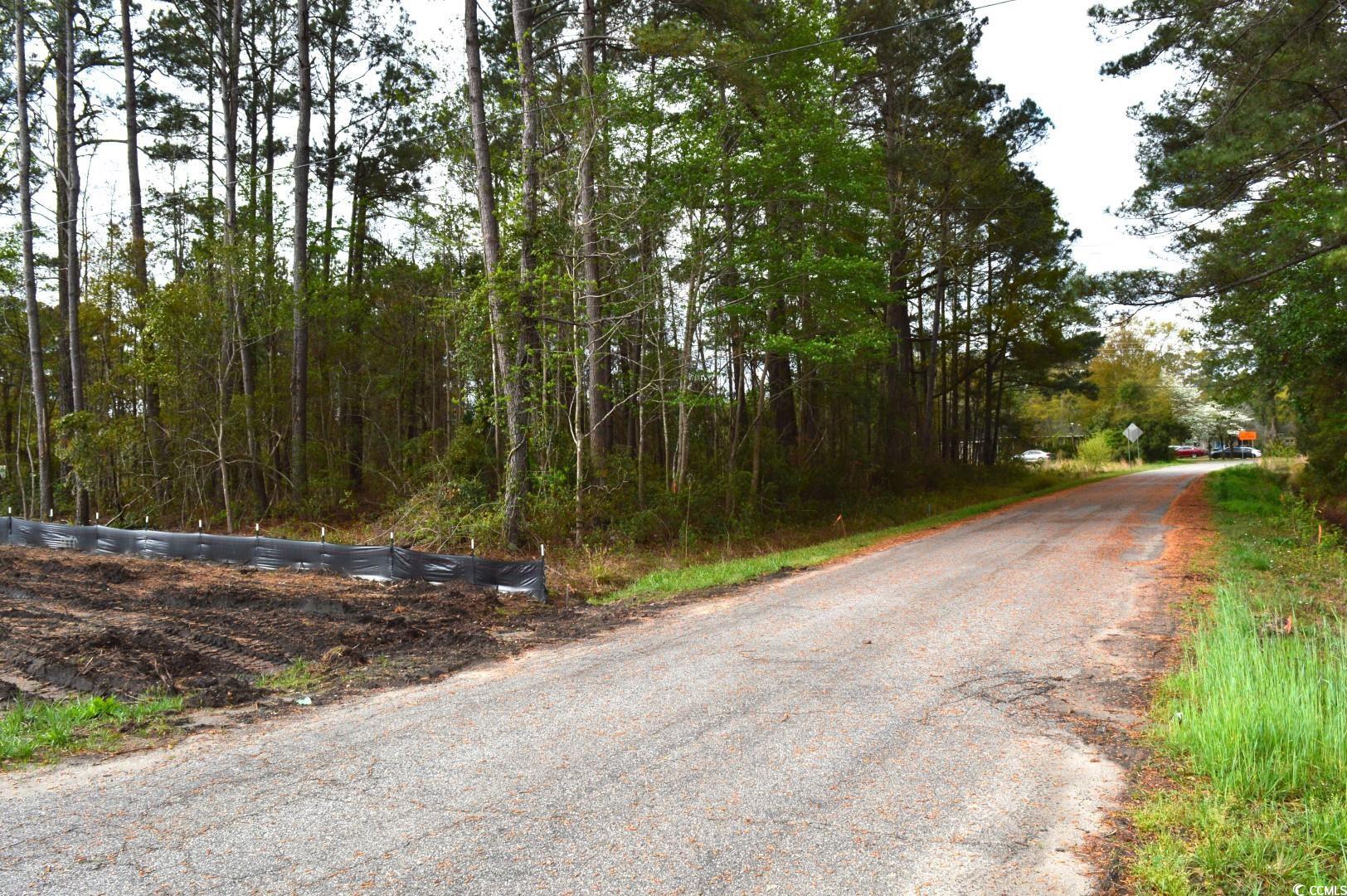 Lot 1&2 Highway 501 E Property Photo 17