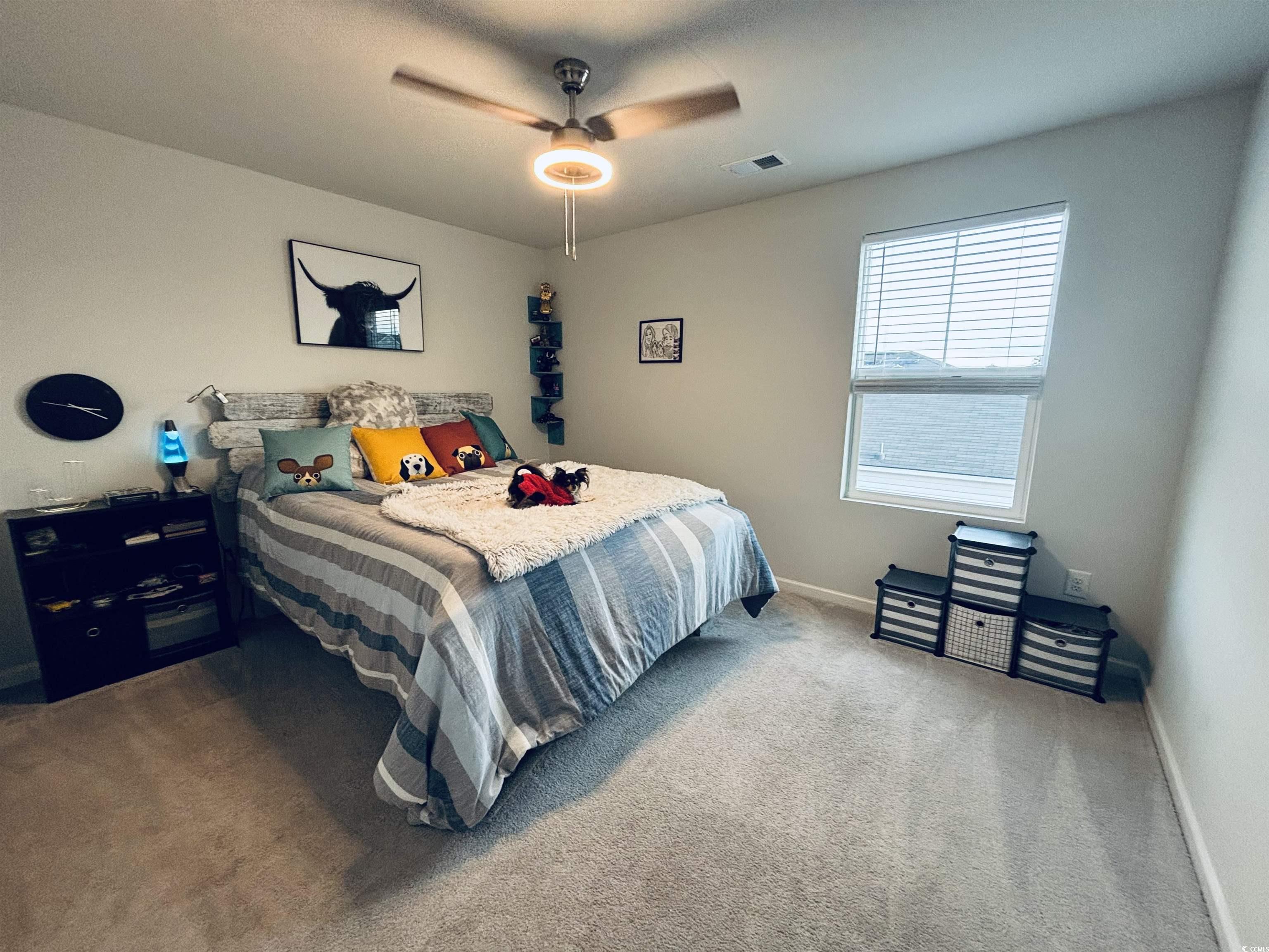 187 S Reindeer Rd. Property Photo 16