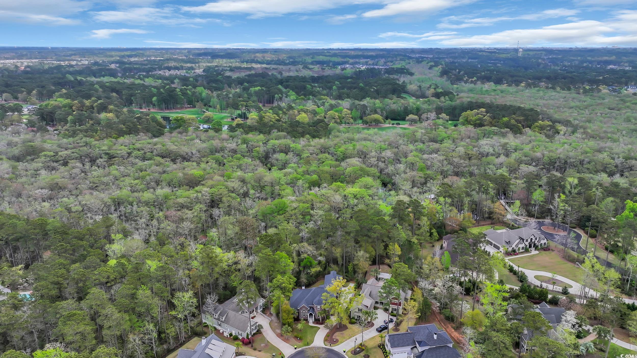 653 Whispering Pines Ct. Property Photo 39