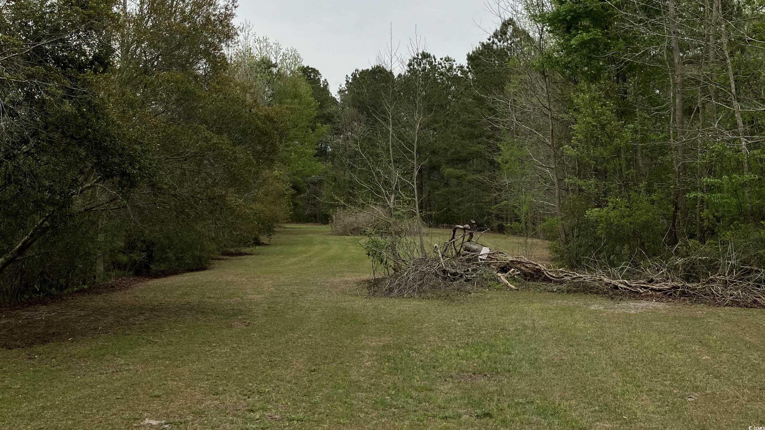 Tbd Volunteer Dr. Property Photo 5