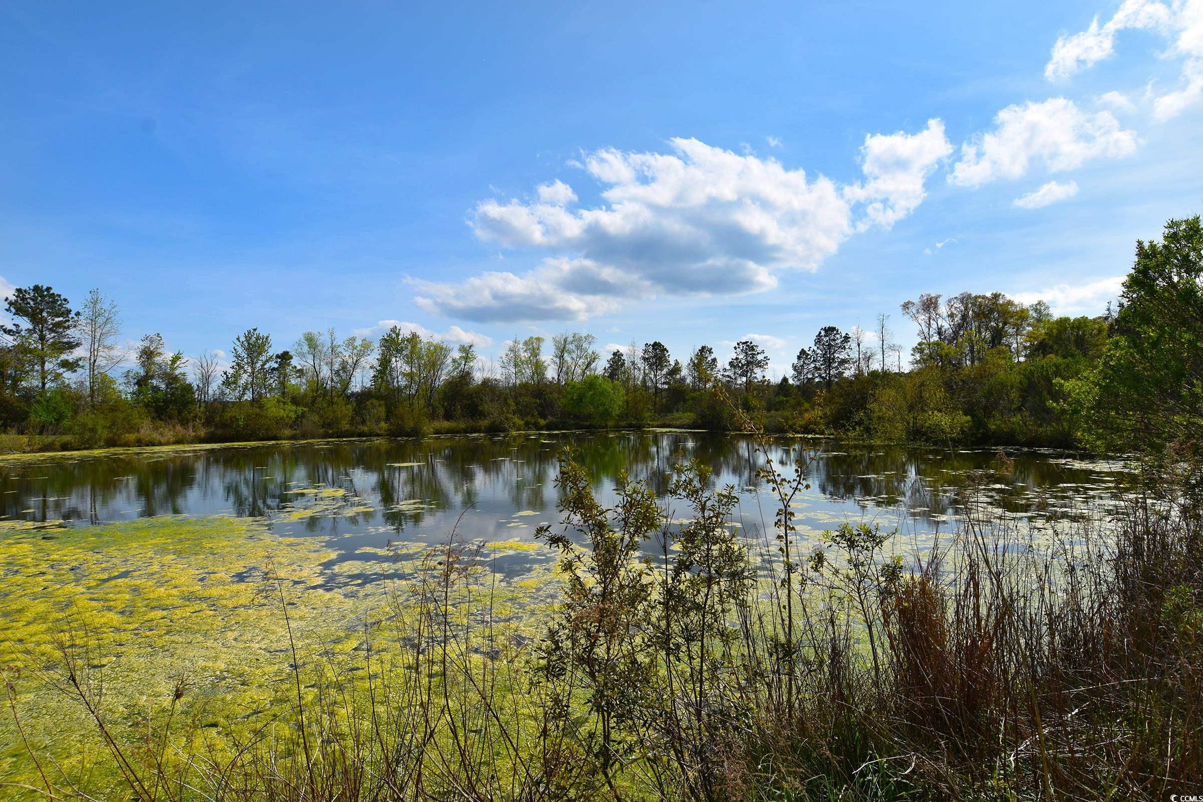 5856 Flamingo Rd. Property Photo 8