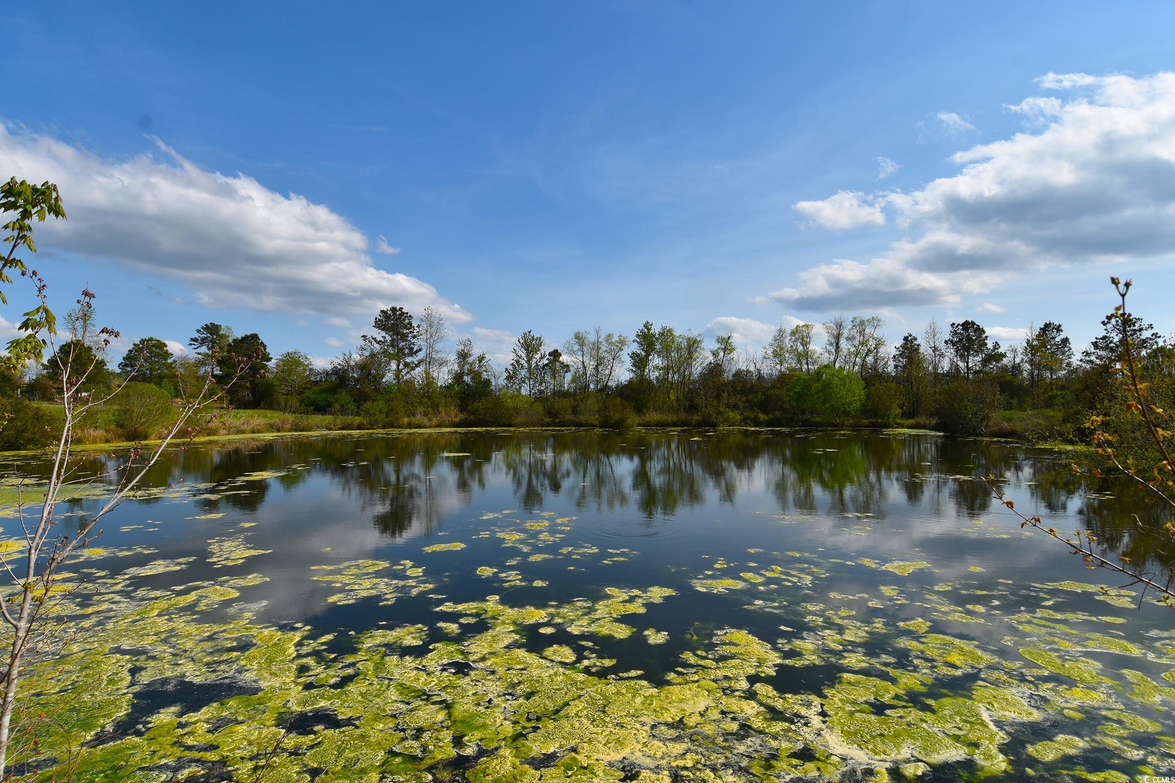 5856 Flamingo Rd. Property Photo 10
