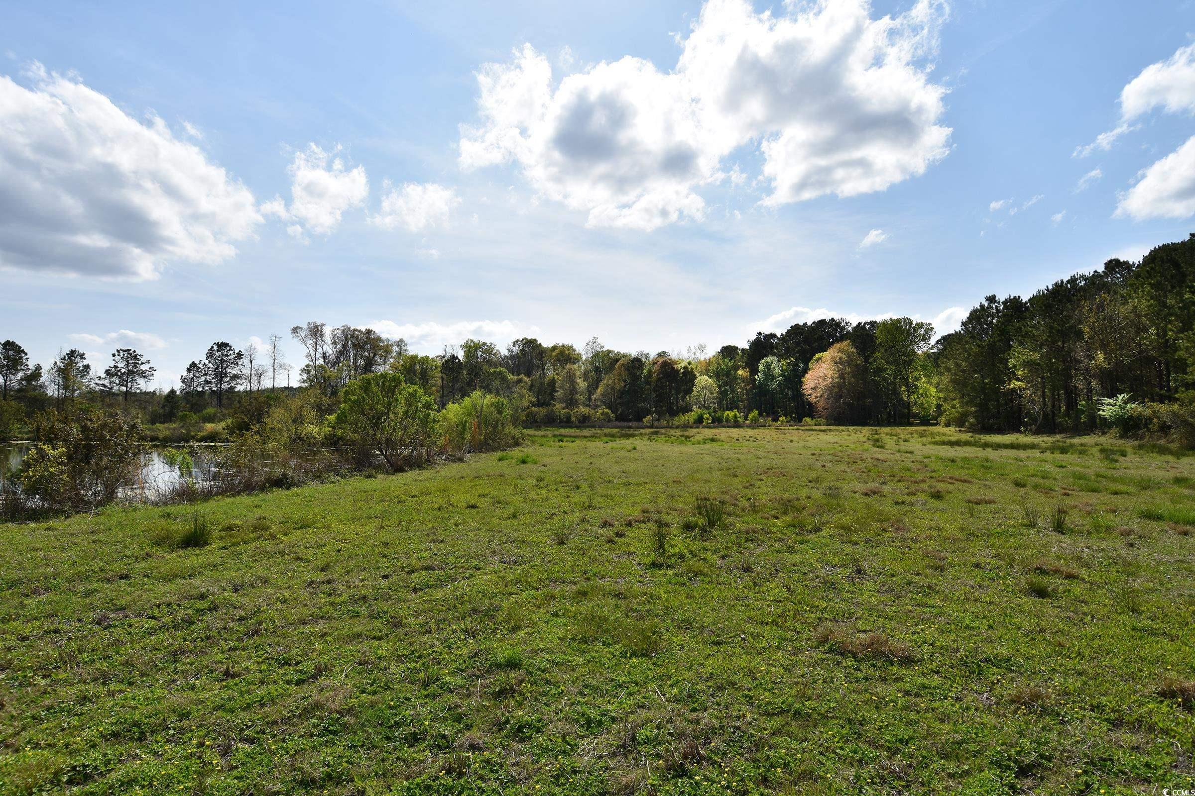 5856 Flamingo Rd. Property Photo 11