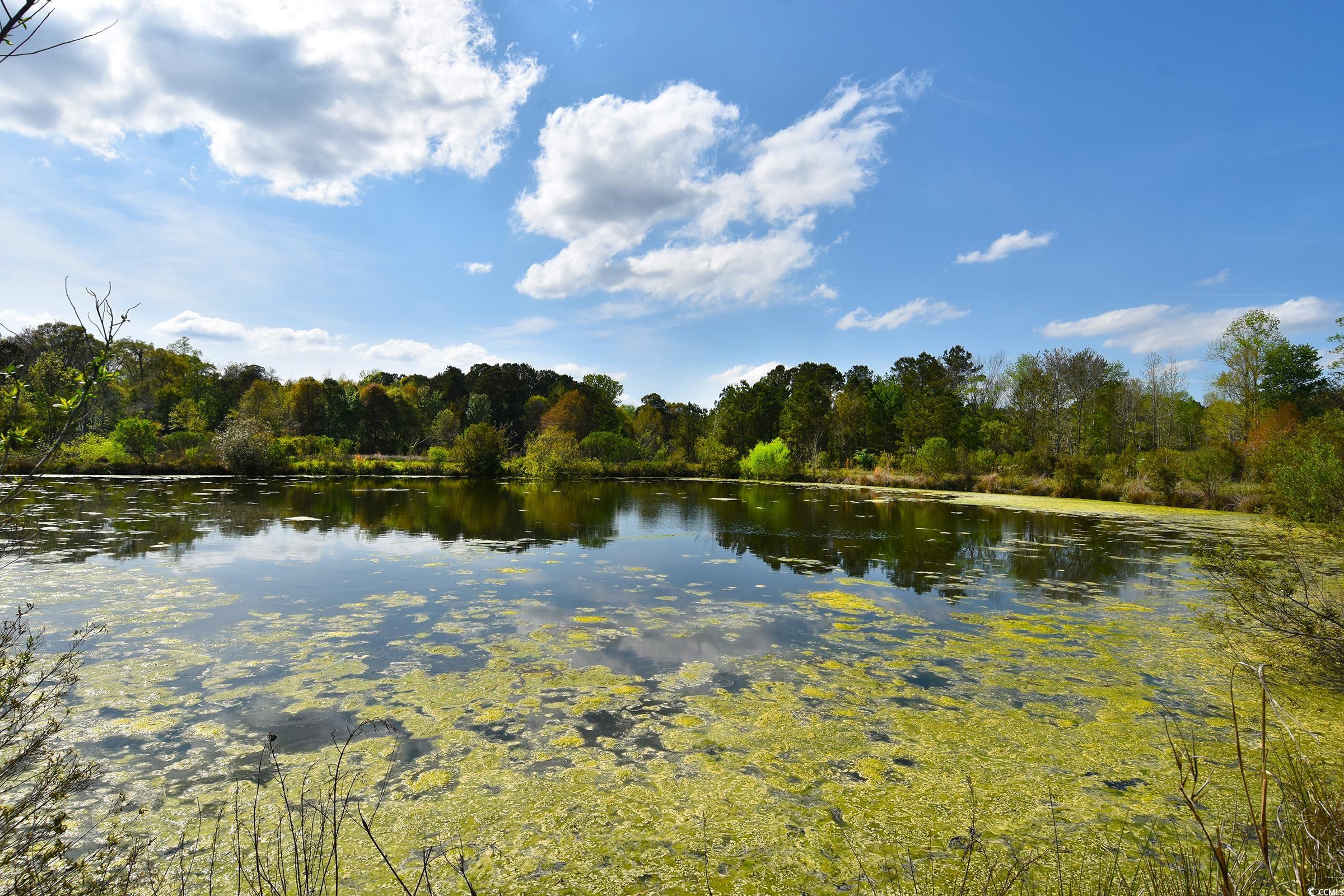 5856 Flamingo Rd. Property Photo 13