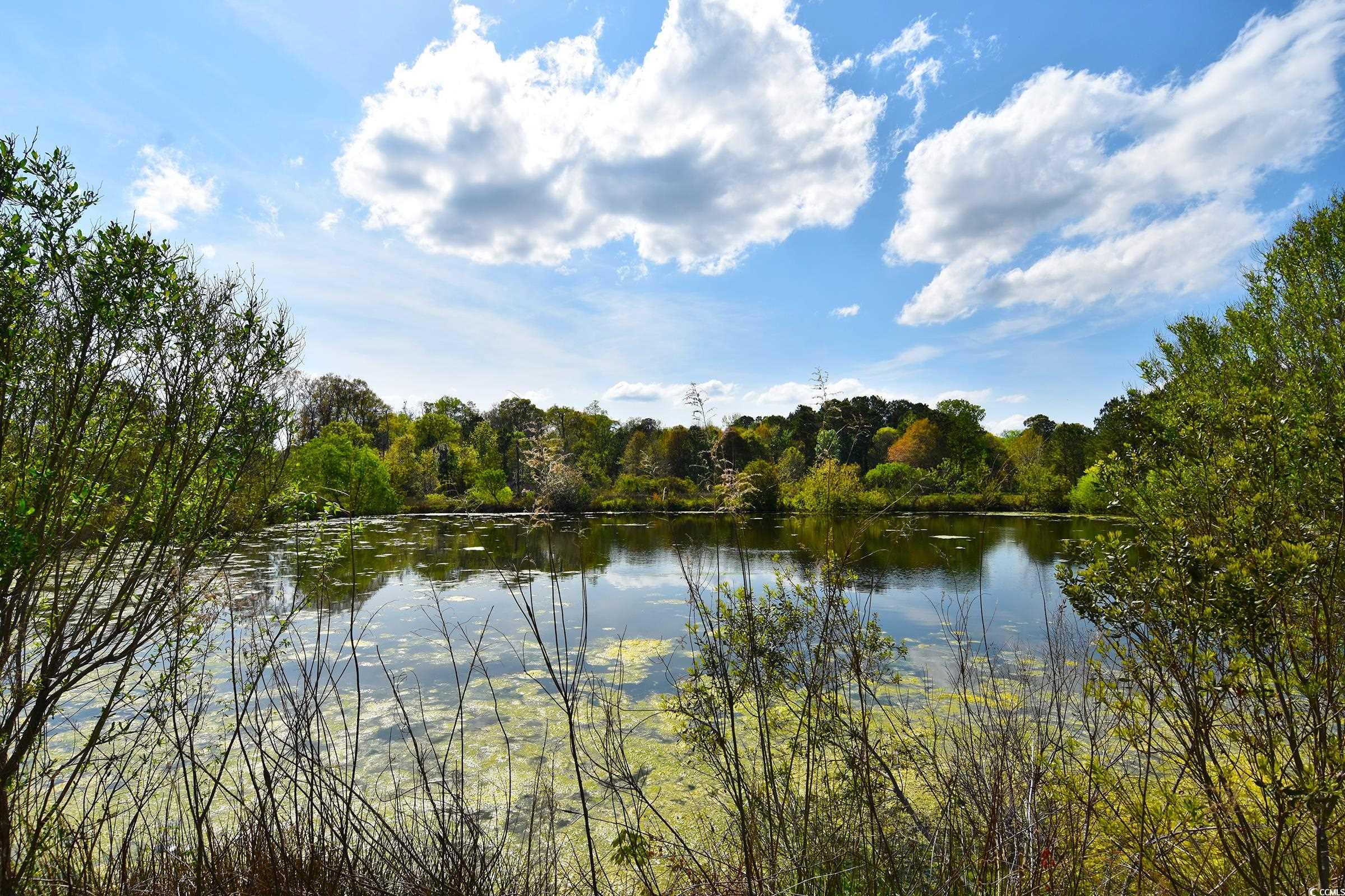 5856 Flamingo Rd. Property Photo 14