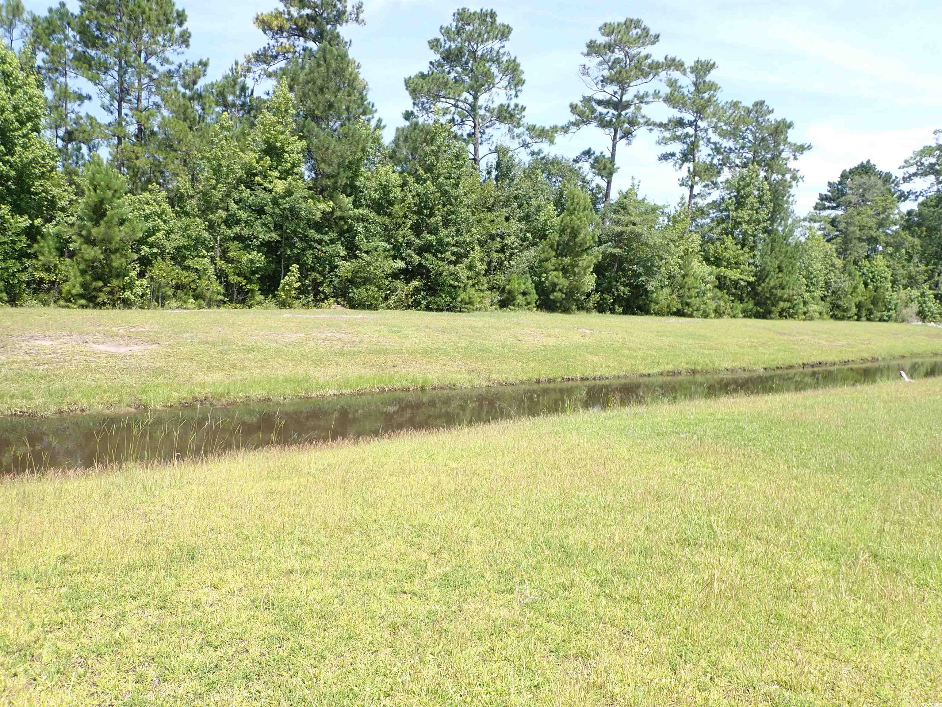447 Archer Ct. Property Photo 7