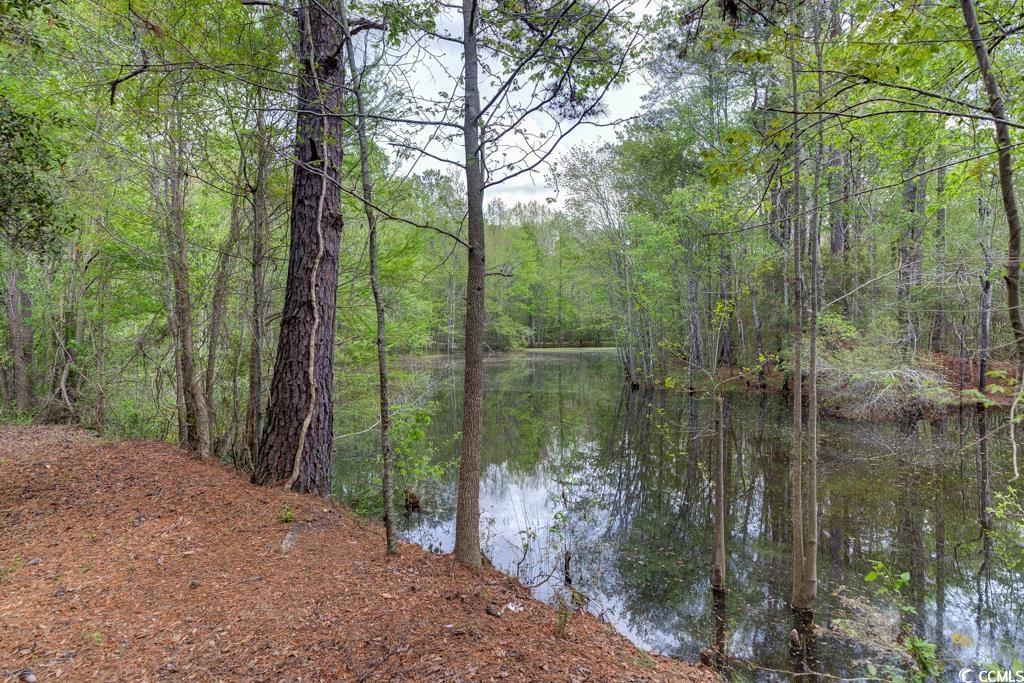 13290 Pee Dee Rd. S Property Photo 22