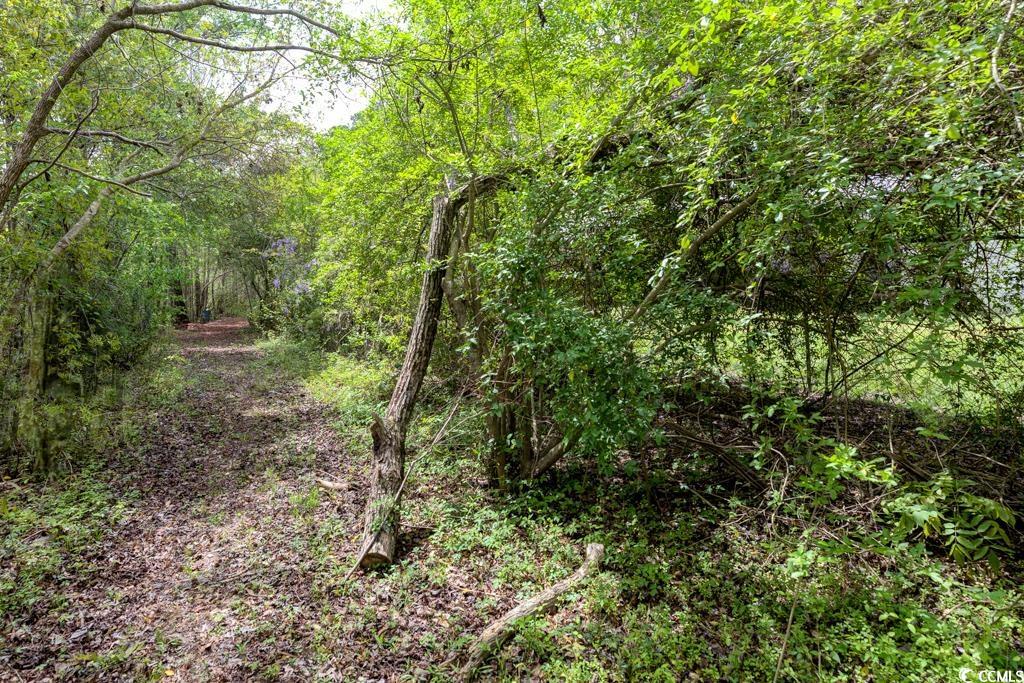 13290 Pee Dee Rd. S Property Photo 23