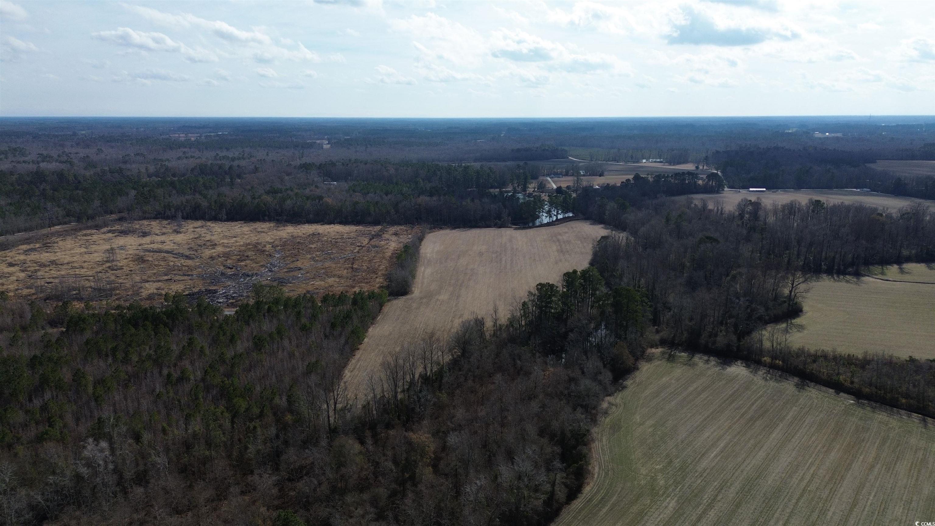 Tbd Green Sea Rd. Property Photo 7