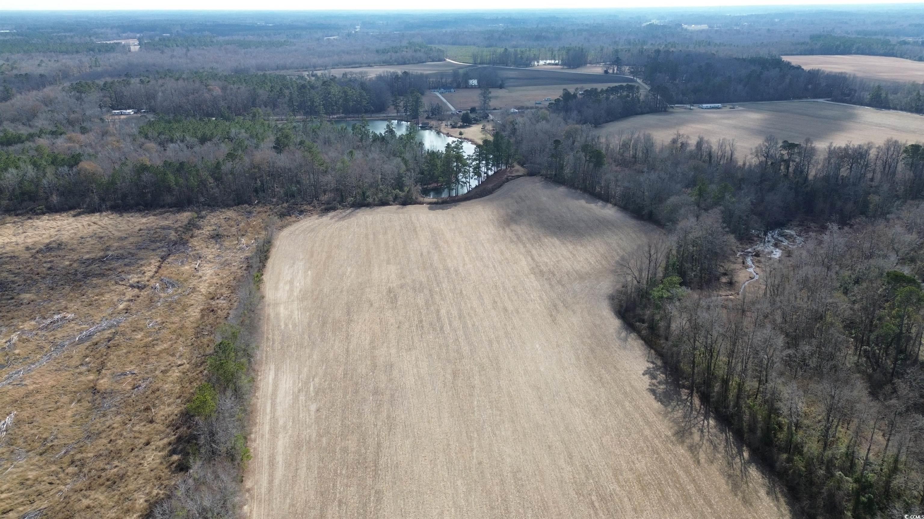 Tbd Green Sea Rd. Property Photo 9