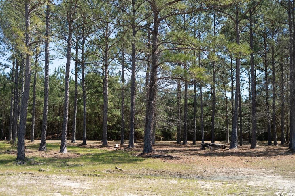 1069 Tinton Point Property Photo 1