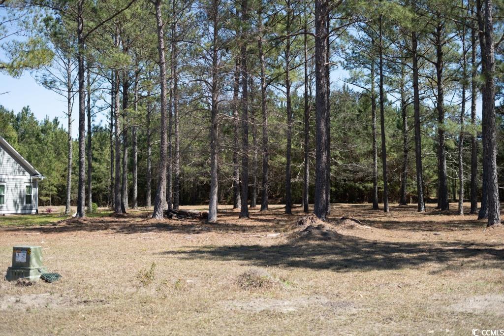 1069 Tinton Point Property Photo 2