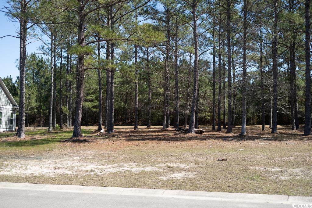 1069 Tinton Point Property Photo 3