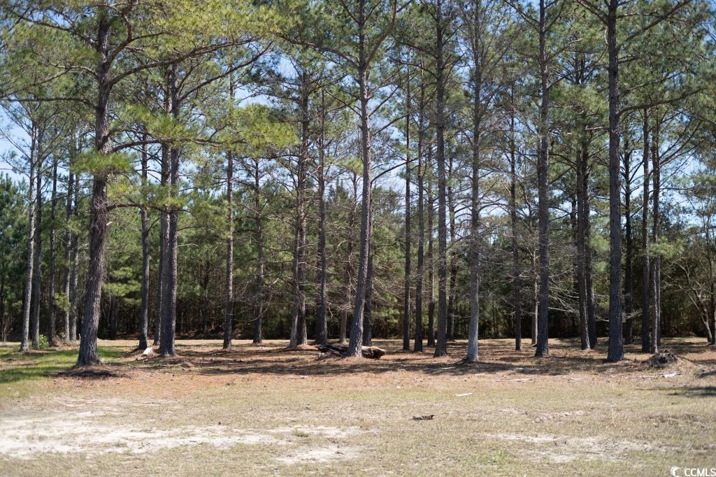 1069 Tinton Point Property Photo 4