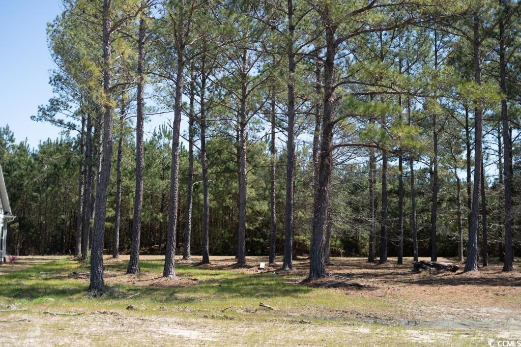 1069 Tinton Point Property Photo 6