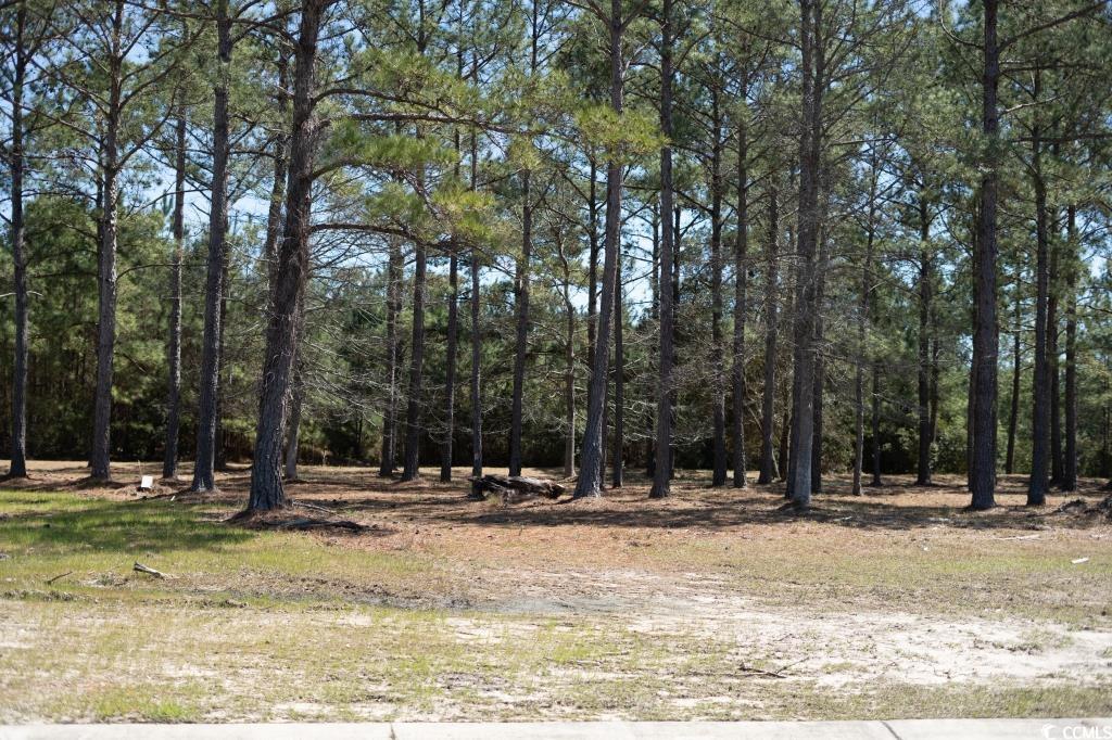 1069 Tinton Point Property Photo 7