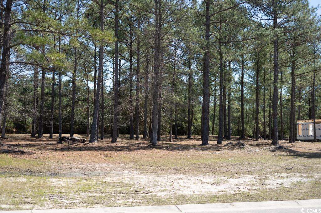 1069 Tinton Point Property Photo 8