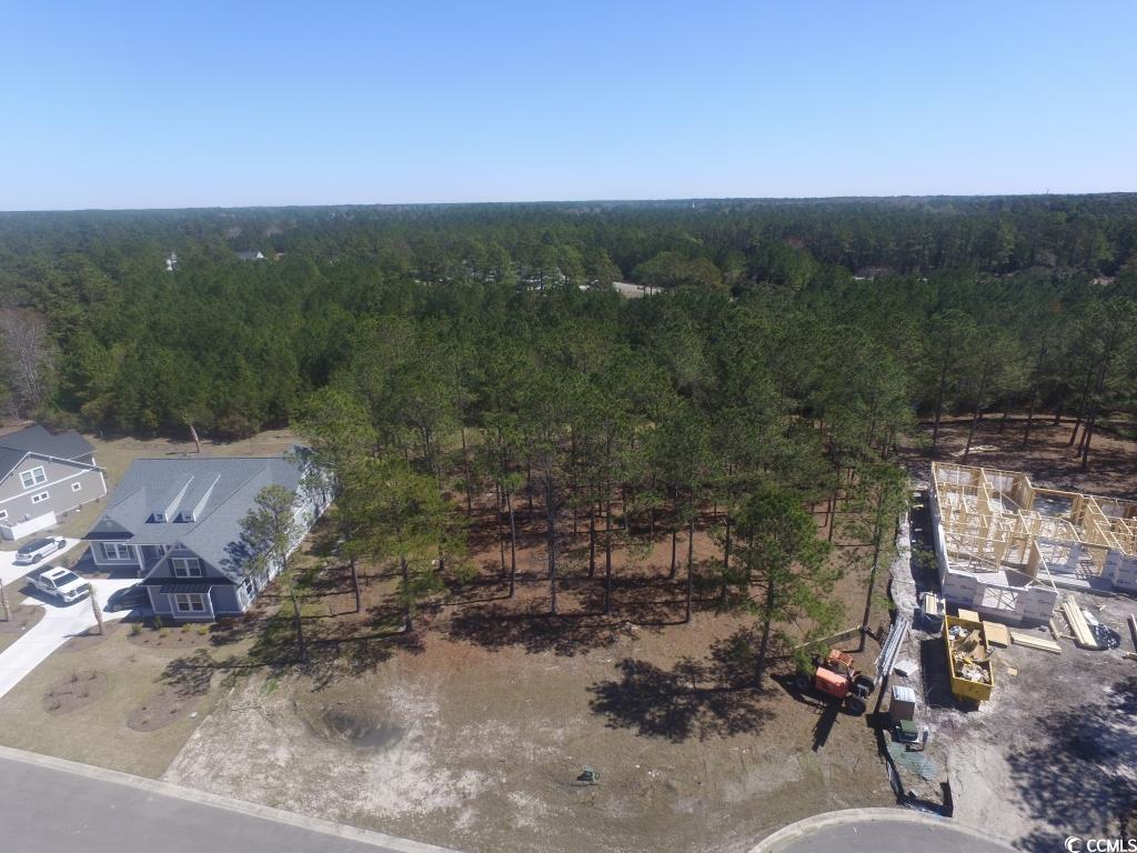 1069 Tinton Point Property Photo 14