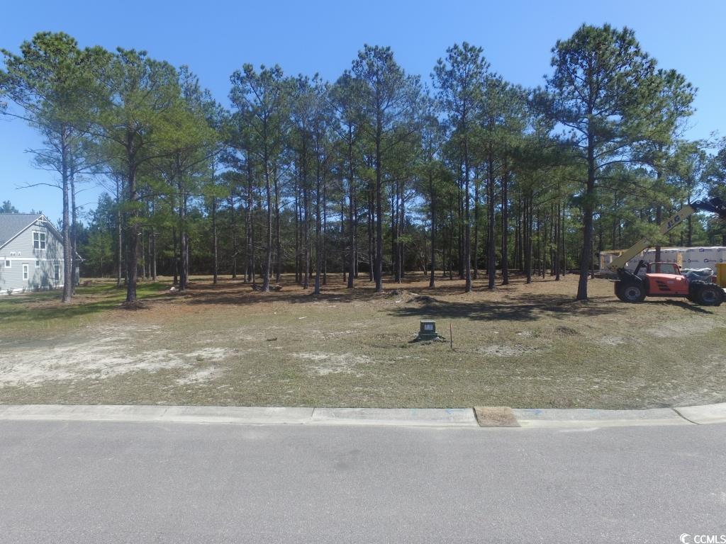 1069 Tinton Point Property Photo 16