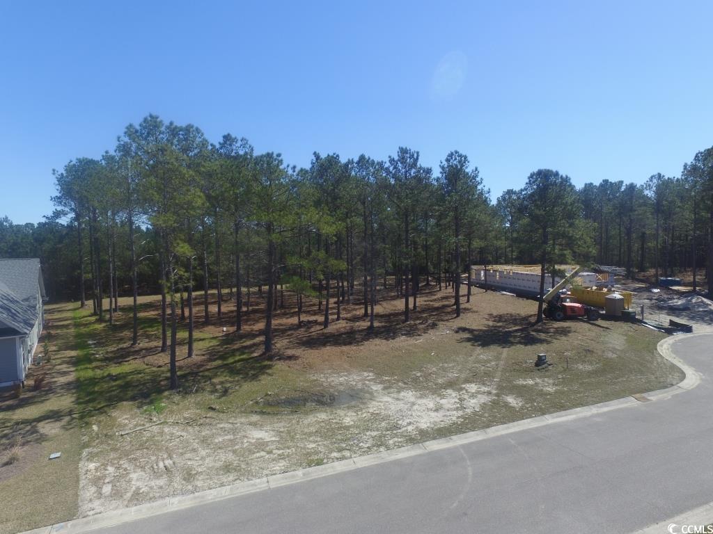 1069 Tinton Point Property Photo 20