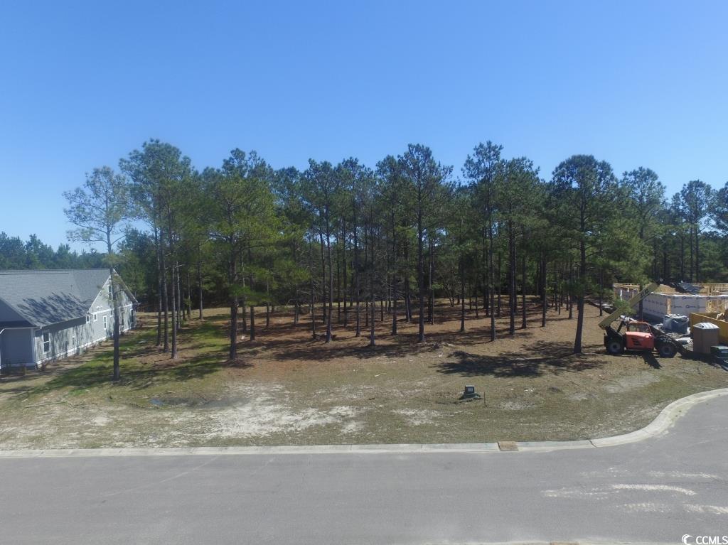 1069 Tinton Point Property Photo 21