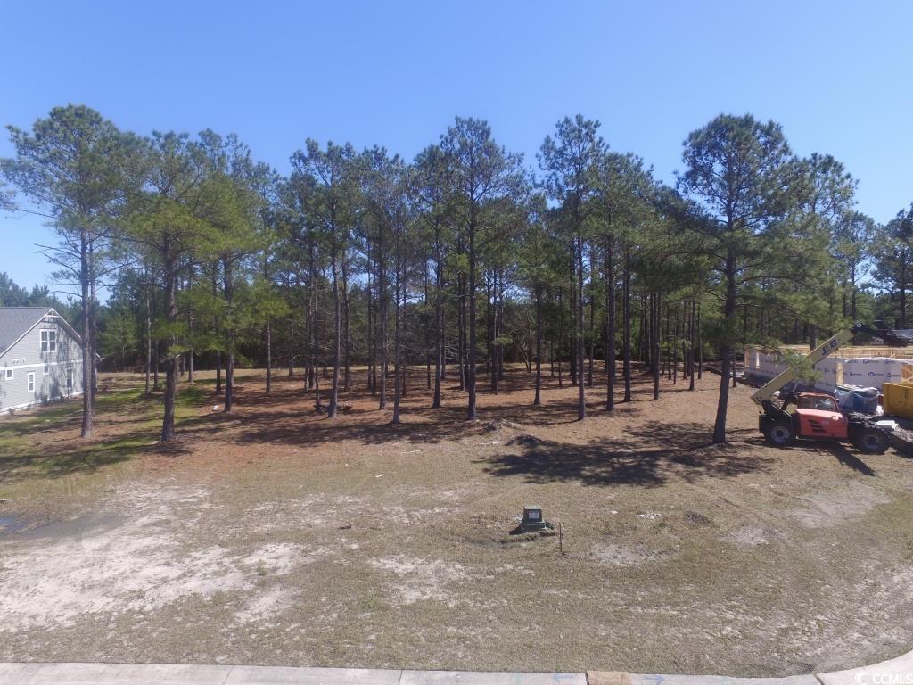 1069 Tinton Point Property Photo 25
