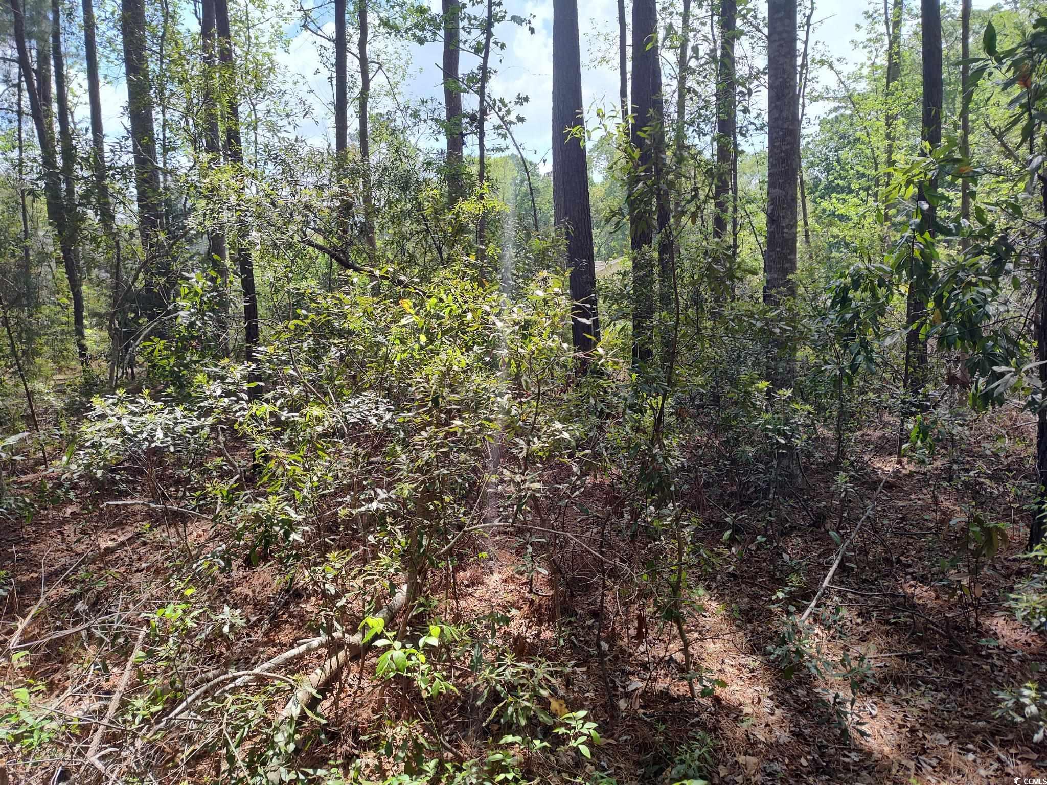 Tbd Pond St. Property Photo 2