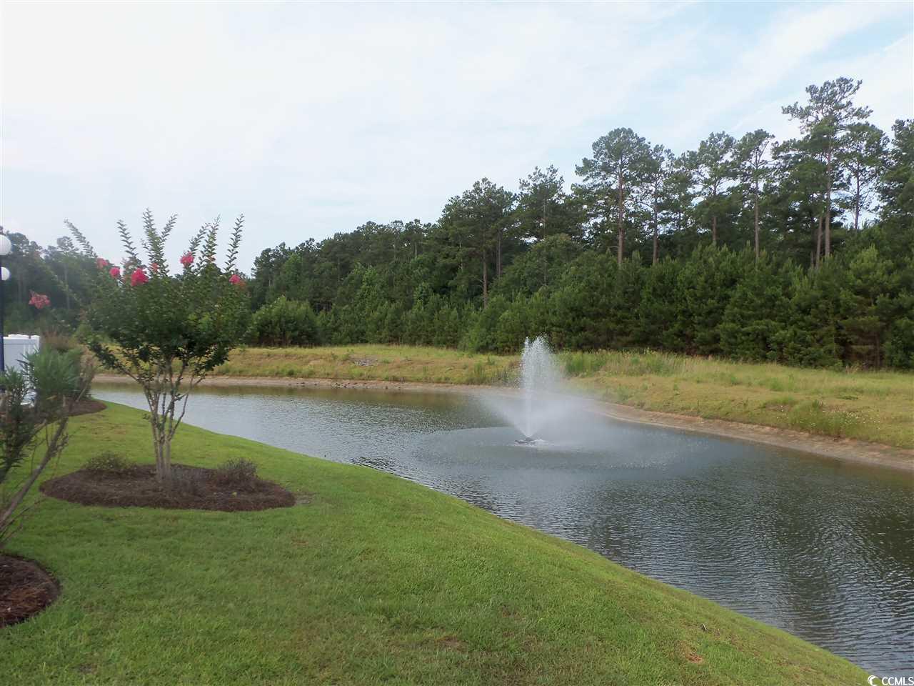 1411 Gooseneck Place Property Photo 22