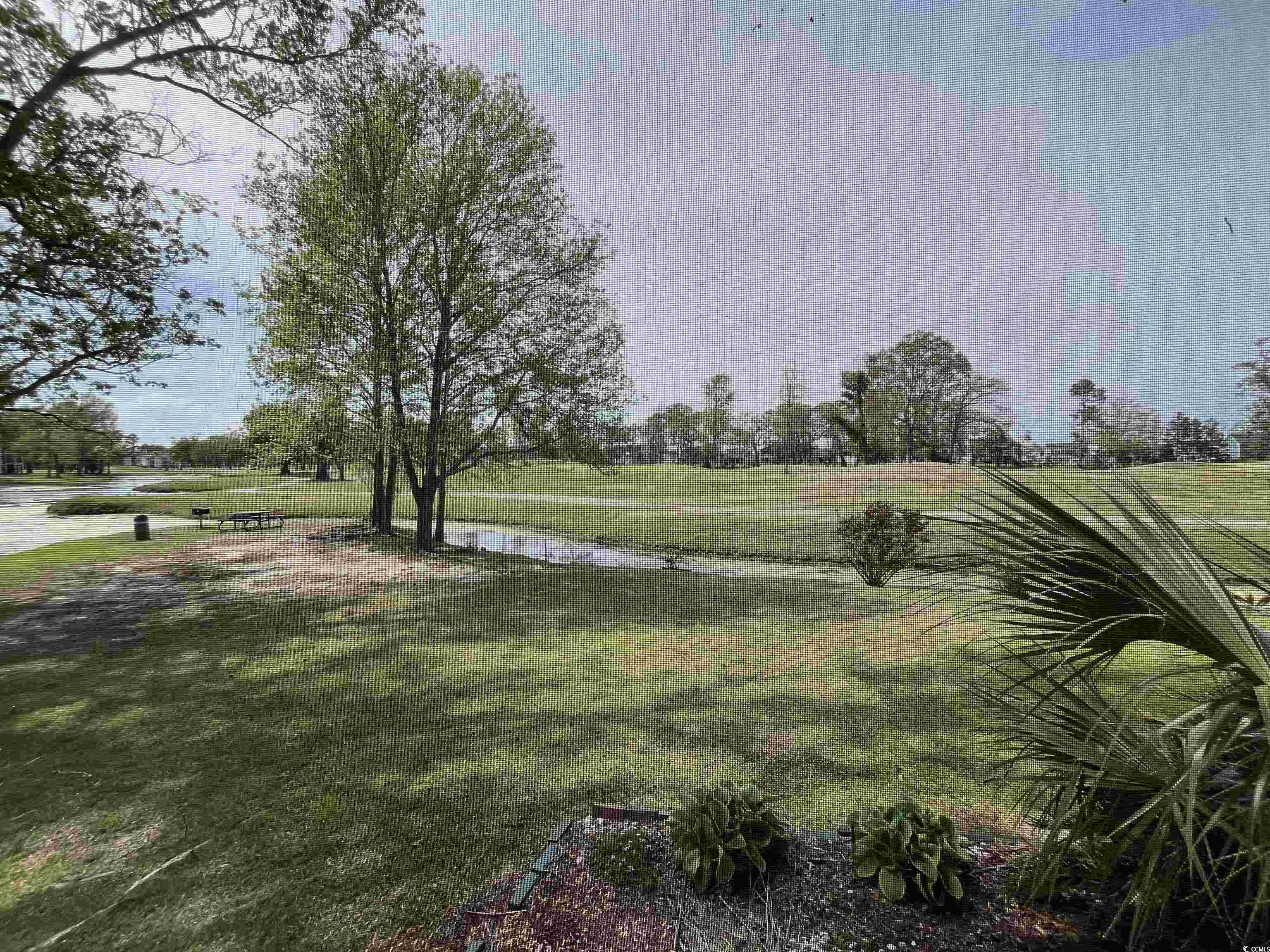 569 Blue River Ct. Property Photo 17