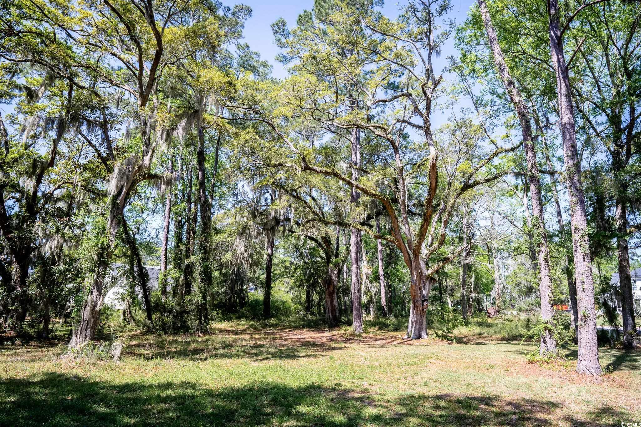 865 Tuckers Rd. Property Photo 20