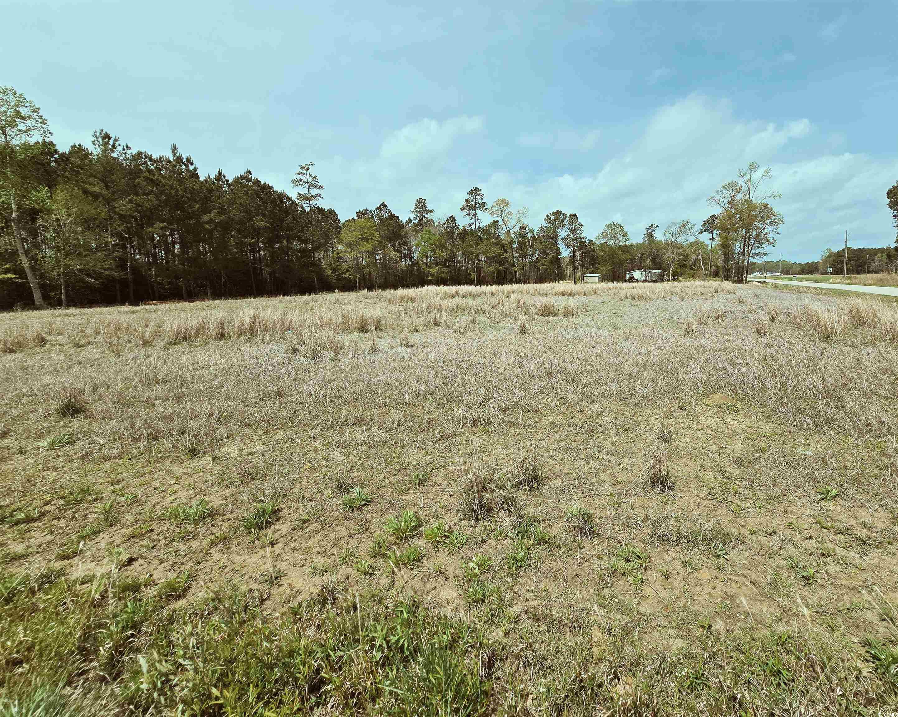 Tbd 3 Highway 366 Property Photo 5
