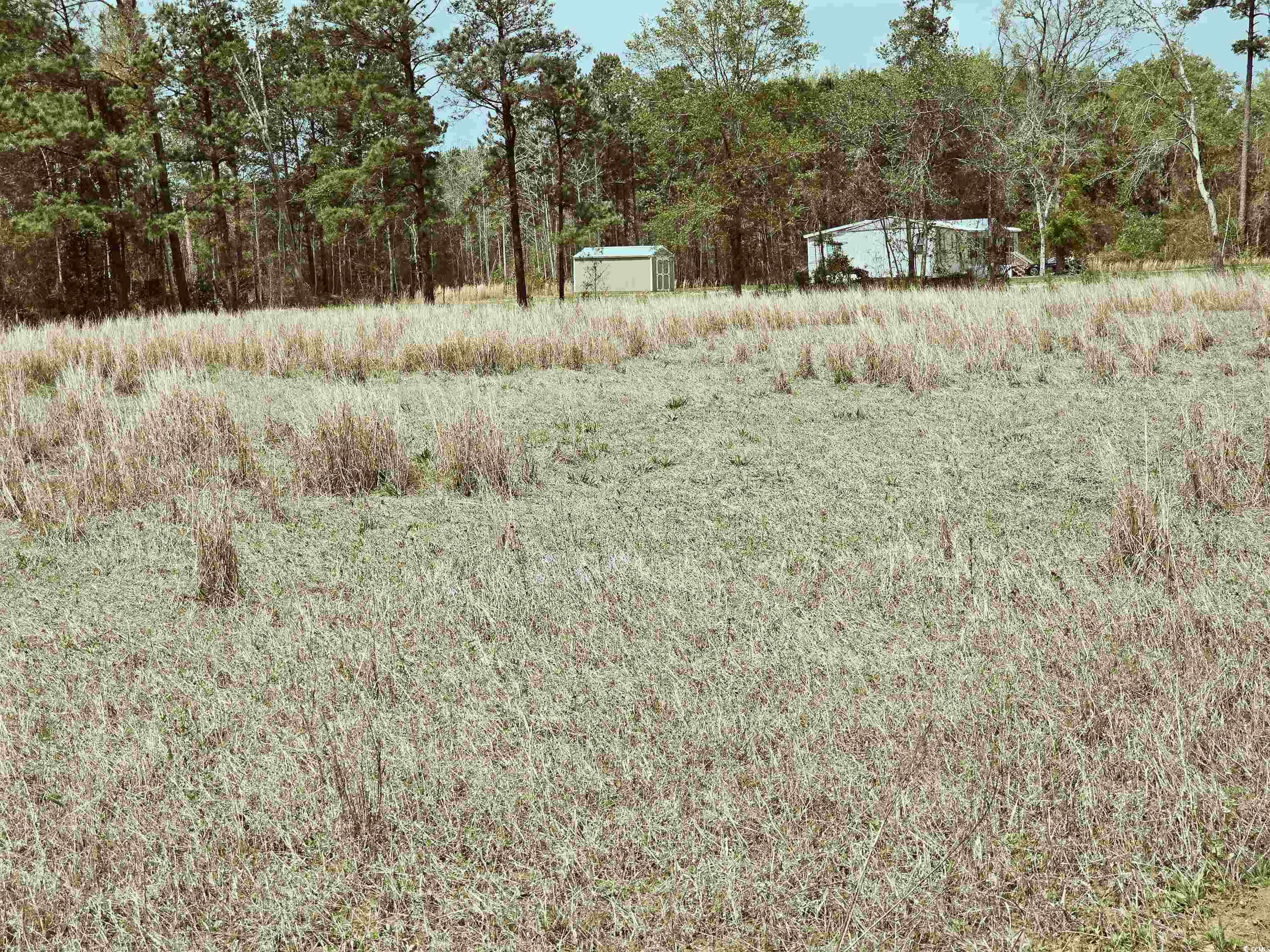 Tbd 3 Highway 366 Property Photo 6