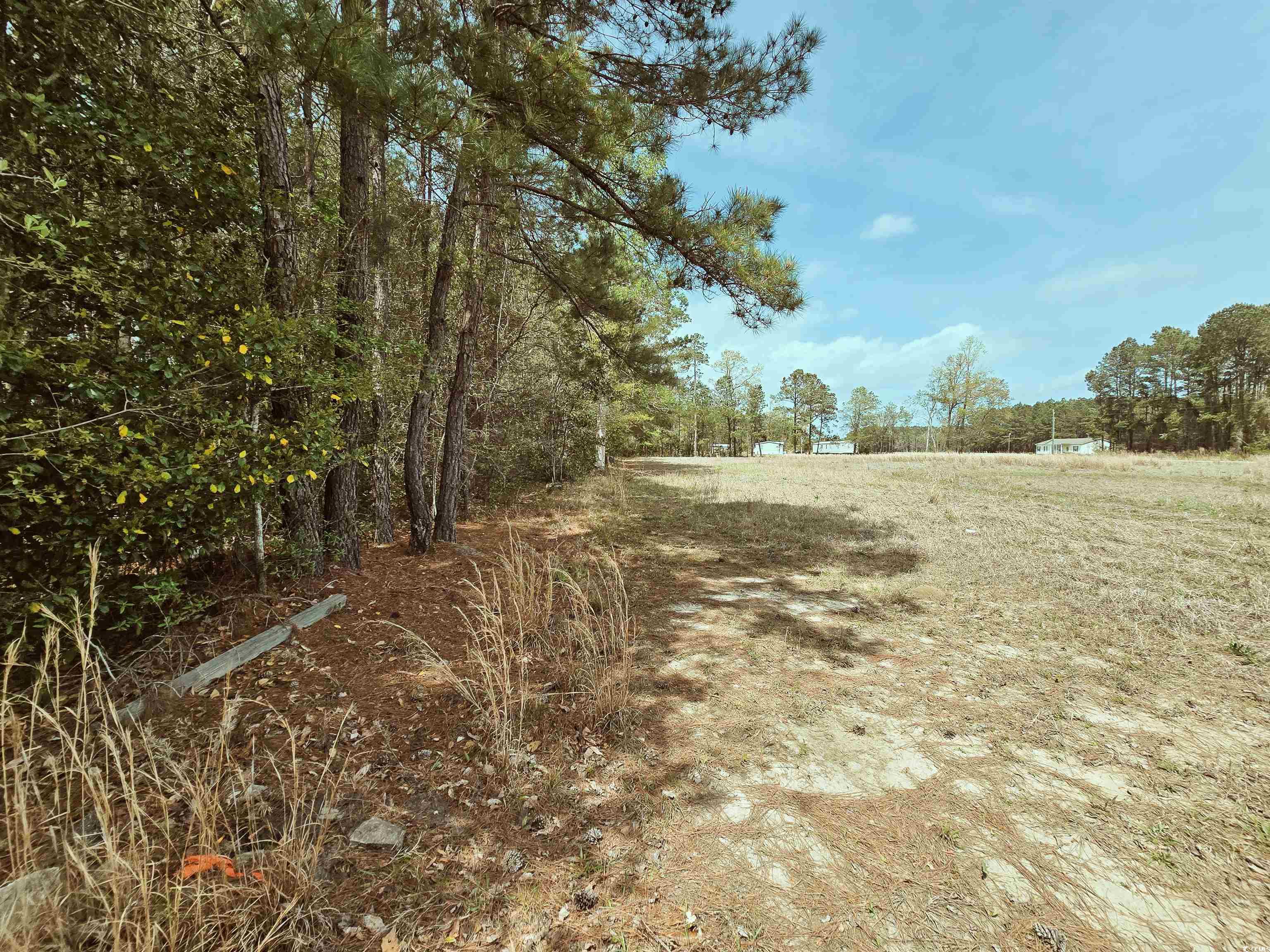 Tbd 3 Highway 366 Property Photo 7