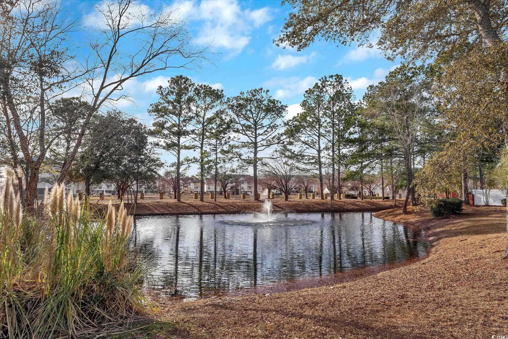 4818 Innisbrook Ct. Property Photo 29