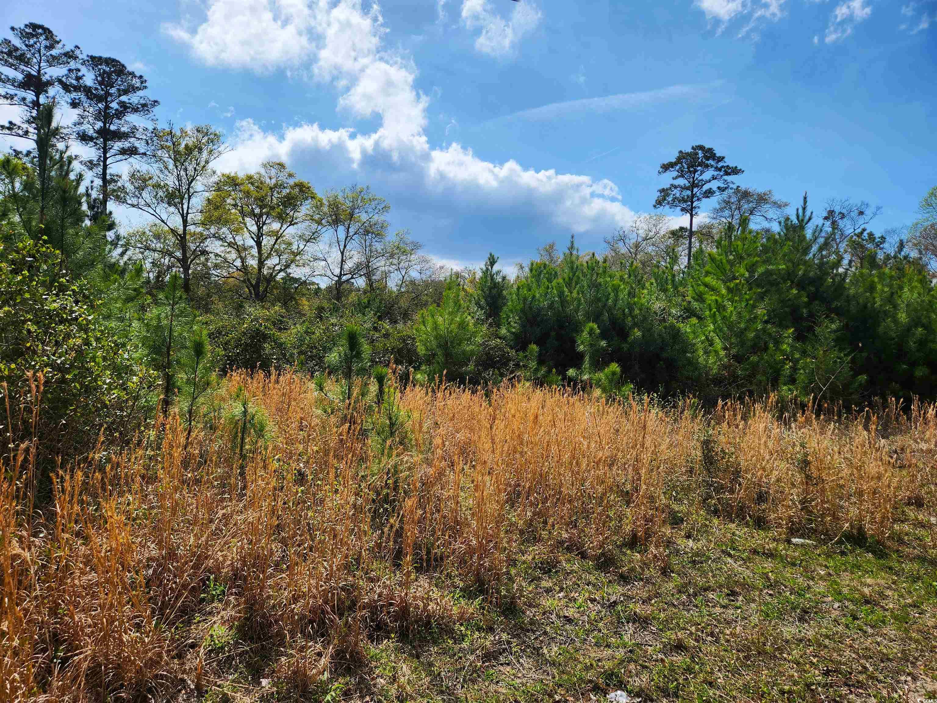 4675 Little River Neck Rd. Property Photo