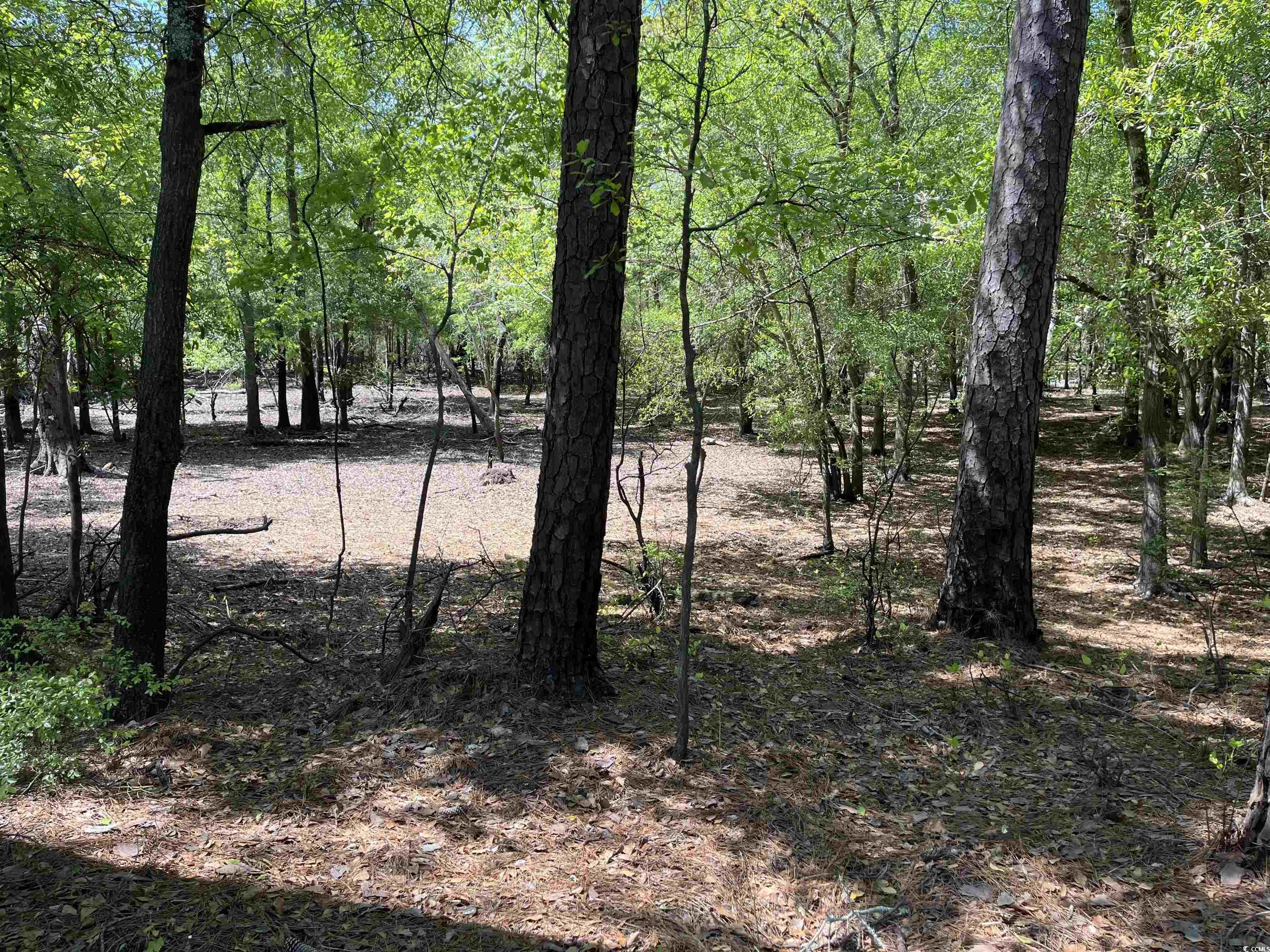 360 Cypress Flat Ct. Property Photo 9