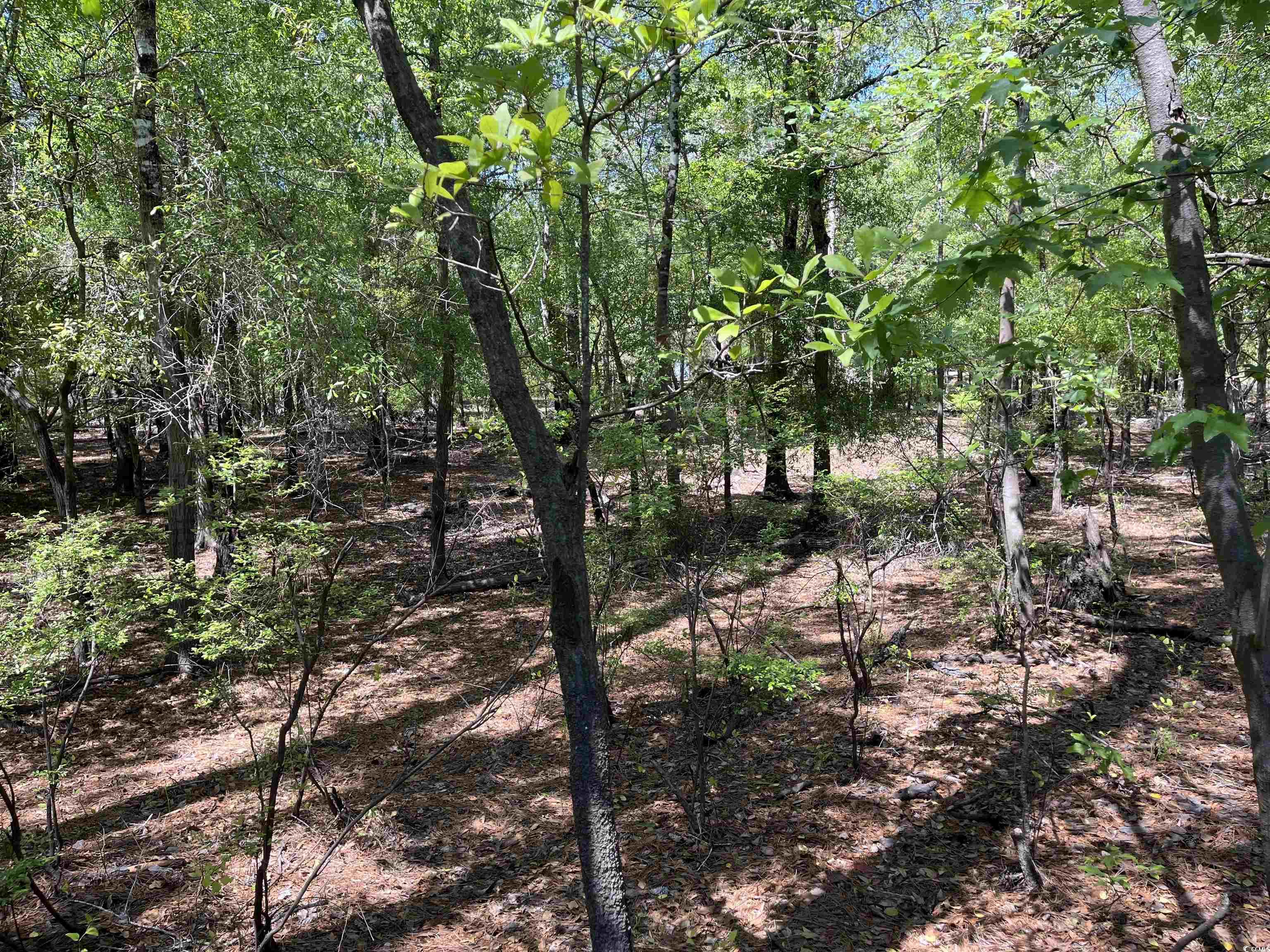 360 Cypress Flat Ct. Property Photo 10