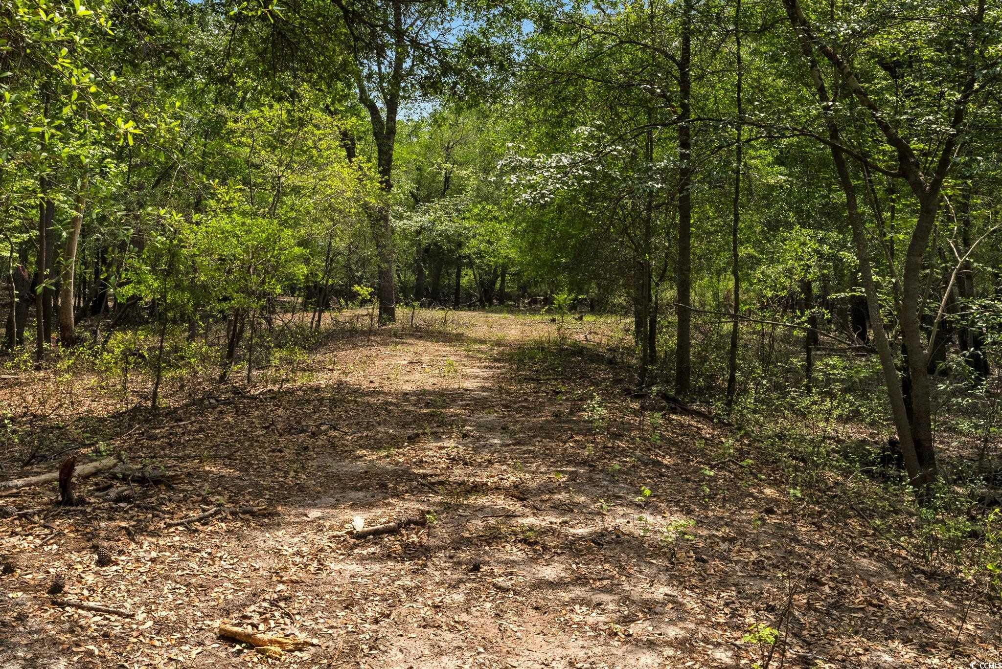 360 Cypress Flat Ct. Property Photo 14