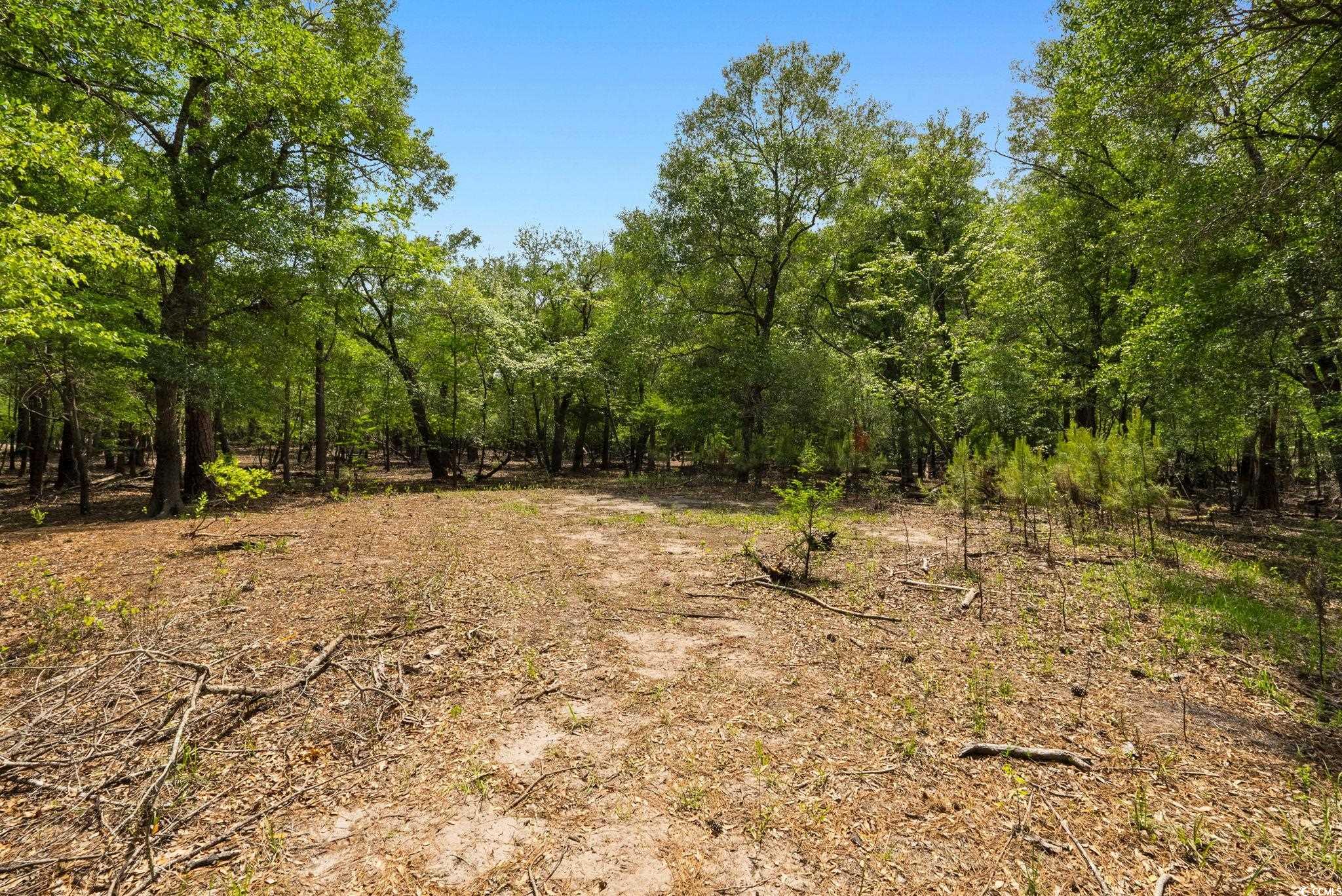 360 Cypress Flat Ct. Property Photo 15