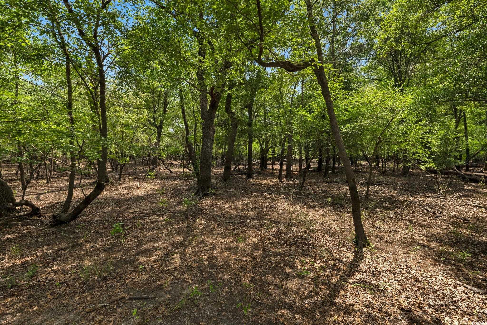 360 Cypress Flat Ct. Property Photo 16