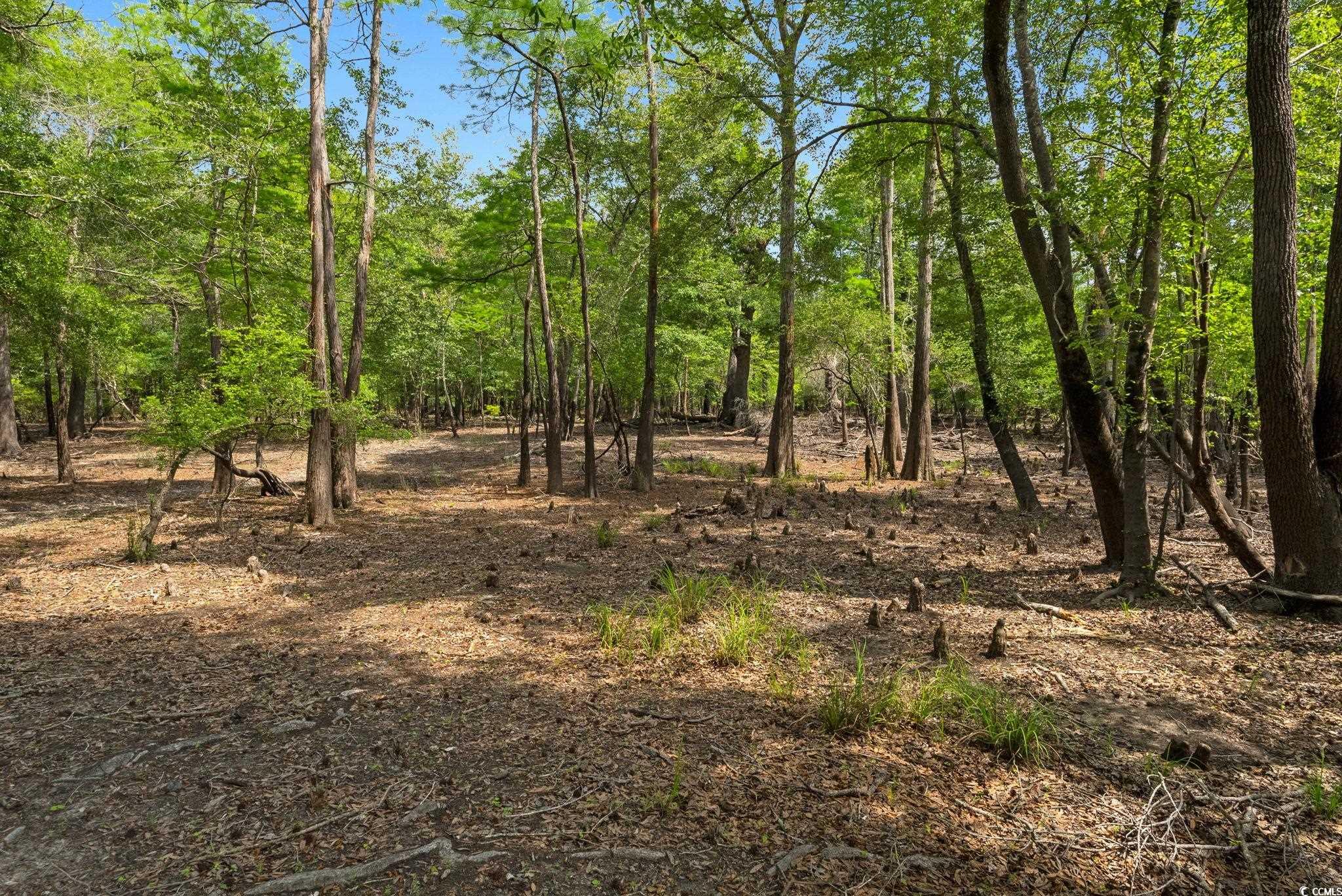 360 Cypress Flat Ct. Property Photo 19