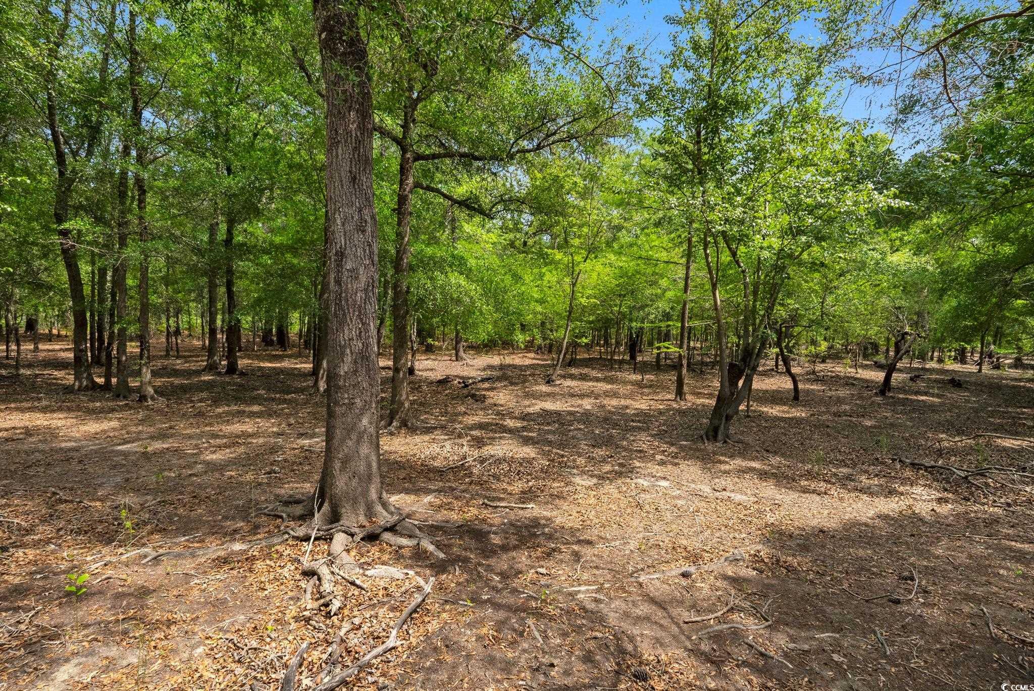 360 Cypress Flat Ct. Property Photo 20